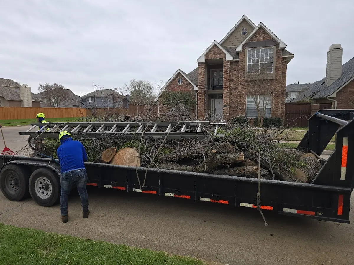 Expert Tree Fertilization with proper safety equipment in Hester